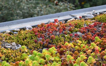 the cost of Wheal Busy green roof installation