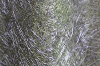 Wheal Busy fibreglass roof work